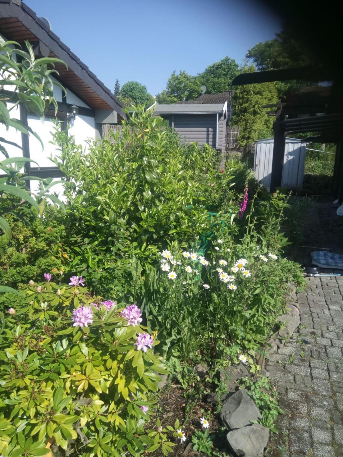 Haus Am Listersee Meinerzhagen Exteriér fotografie