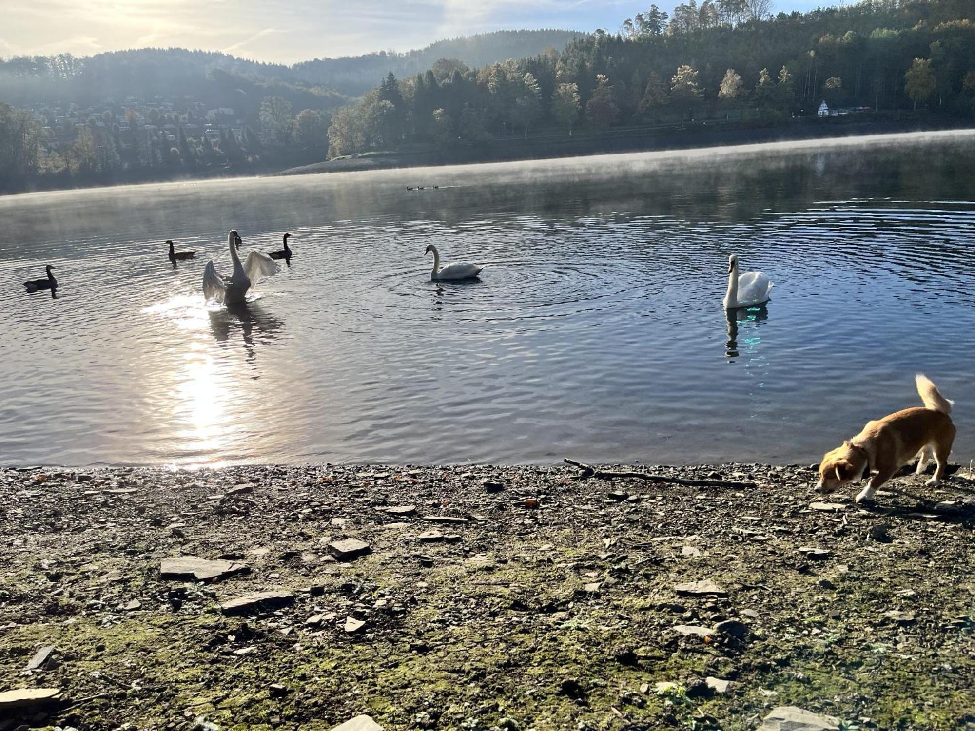 Haus Am Listersee Meinerzhagen Exteriér fotografie